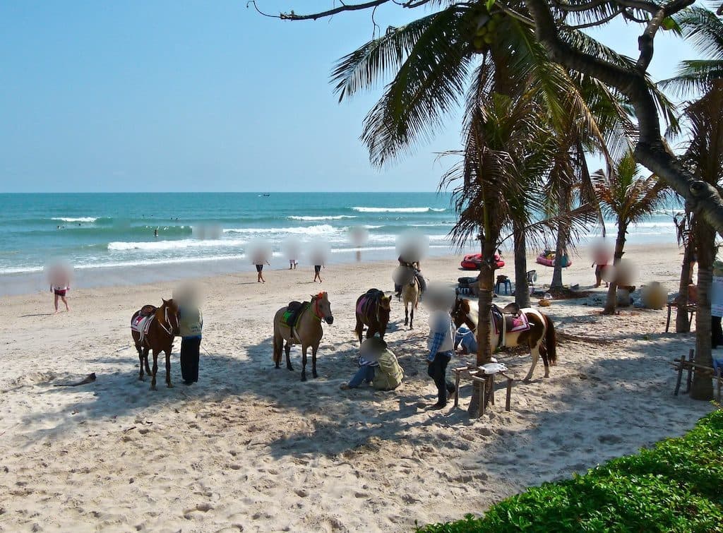 Horses for rides on Hua Hin beach